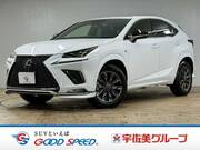 2021 LEXUS NX