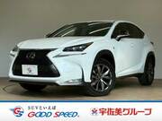2016 LEXUS NX