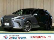 2024 LEXUS RX