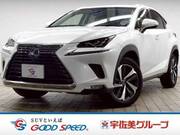 2018 LEXUS NX
