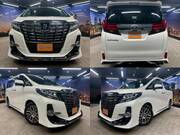 2016 TOYOTA ALPHARD