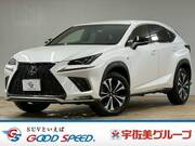 2019 LEXUS NX