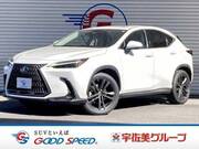 2023 LEXUS NX