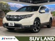 2019 HONDA OTHER