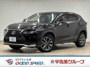 2015 LEXUS NX