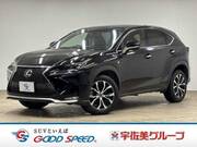2015 LEXUS NX