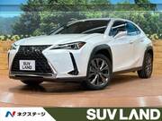 2020 LEXUS UX