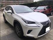 2021 LEXUS NX