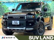 2024 TOYOTA LANDCRUISER 250