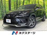 2018 LEXUS NX