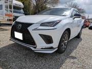 2019 LEXUS NX