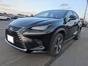 2018 LEXUS NX