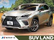 2019 LEXUS NX