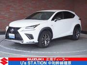 2019 LEXUS NX