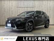 2018 LEXUS UX