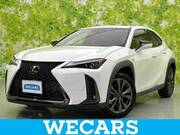 2019 LEXUS UX