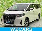 2019 TOYOTA ALPHARD HYBRID