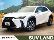2021 LEXUS UX