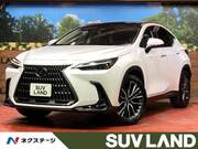 2022 LEXUS NX
