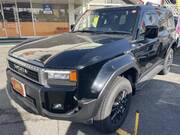 2025 TOYOTA LANDCRUISER 250