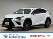 2019 LEXUS NX