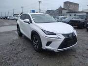 2019 LEXUS NX