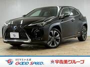 2018 LEXUS UX