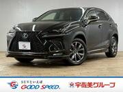 2018 LEXUS NX