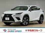 2018 LEXUS NX