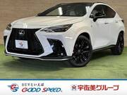 2023 LEXUS NX