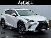2018 LEXUS NX