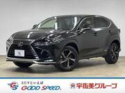 2021 LEXUS NX