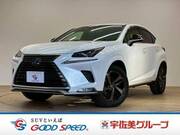2020 LEXUS NX