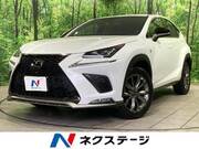 2019 LEXUS NX