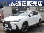 2025 LEXUS NX