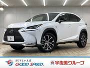 2015 LEXUS NX