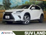 2019 LEXUS NX