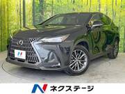 2024 LEXUS NX