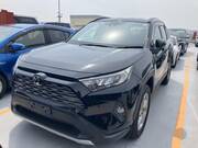 2019 TOYOTA RAV4 G