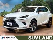 2021 LEXUS NX