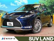 2019 LEXUS RX