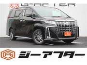 2019 TOYOTA ALPHARD HYBRID