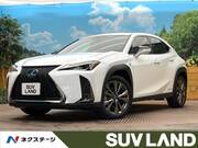 2020 LEXUS UX