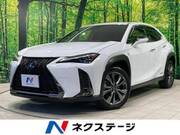 2020 LEXUS UX