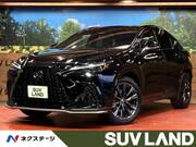 2024 LEXUS NX