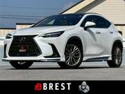 2023 LEXUS NX
