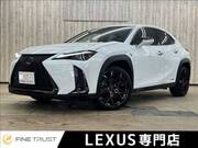 2019 LEXUS UX