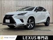 2021 LEXUS NX