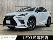 2019 LEXUS NX