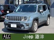 2019 CHRYSLER JEEP RENEGADE